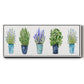 Herbs In A Row - Floater Framed Canvas Print