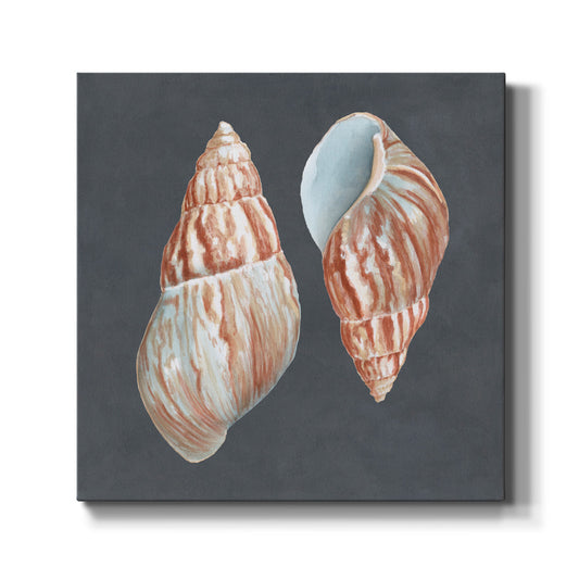 Shell on Slate V - Canvas Art Print