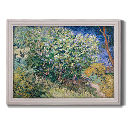 Impressionist lilac flower painting by Vincent van Gogh printed on canvas in an ornate weathered white frame.