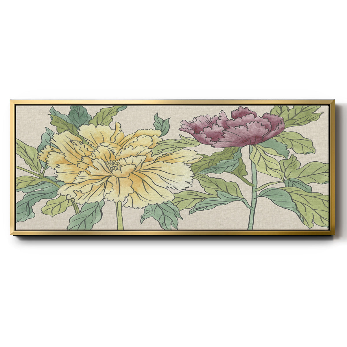 Peony Blooms II - Floater Framed Canvas Print