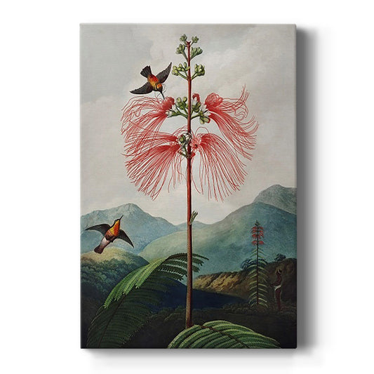 Temple of Flora VIII - Canvas Art Print