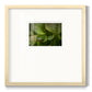 Arboreal Refuge - Double Matboard Framed Print