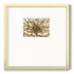Neutral Wall Flower I - Double Matboard Framed Print