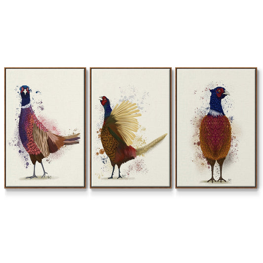 Pheasant Splash 3 - Floater Framed Canvas Set