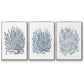 Summer Herb Garden Sketches I - Floater Framed Canvas Set