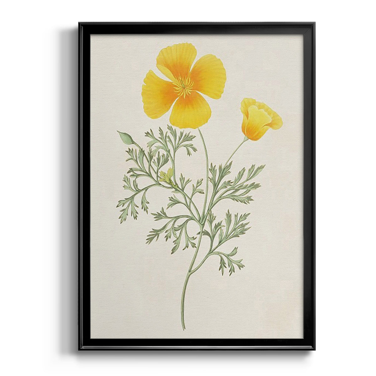 Flowers of the Seasons IX - Modern Framed Canvas Print