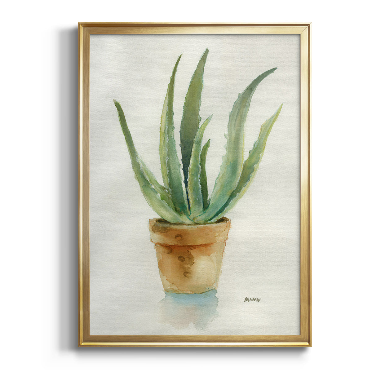 Succulent IV - Modern Framed Canvas Print