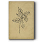 Holly Branch I - Gallery Wrapped Canvas