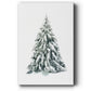 Blue Spruce I - Gallery Wrapped Canvas