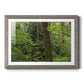 Calm of the Forest - Barnwood Framed Art Print