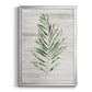 Tropic Frond II - Modern Framed Canvas Print