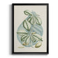 Buchoz Tropicals VI - Modern Framed Canvas Print