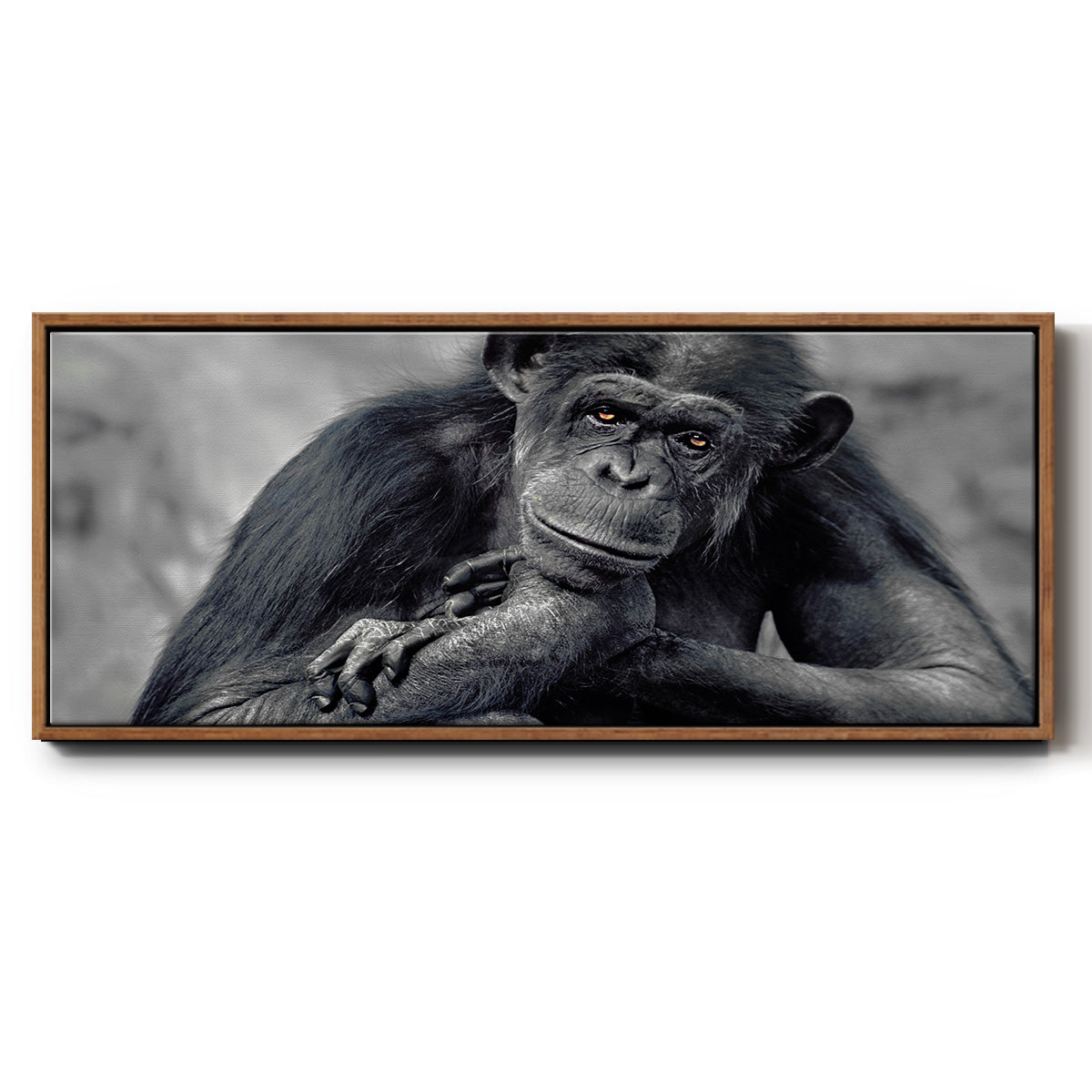 Captivated - Floater Framed Canvas Print