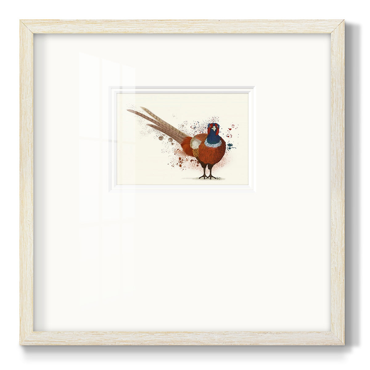 Pheasant Splash 7 Premium Framed Print Double Matboard