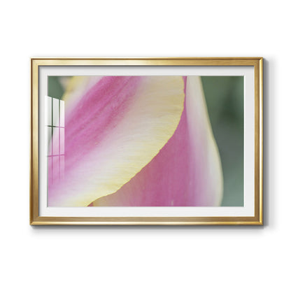 Delicate Premium Framed Print - Ready to Hang