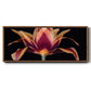 Red Tulip - Floater Framed Canvas Print