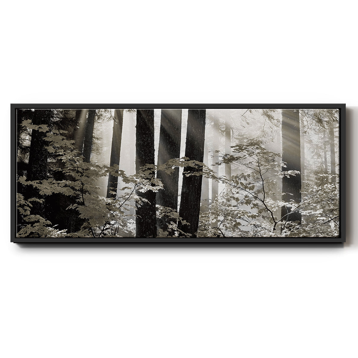 Misty Forest - Floater Framed Canvas Print