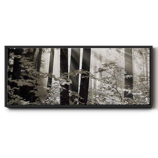 Misty Forest - Floater Framed Canvas Print