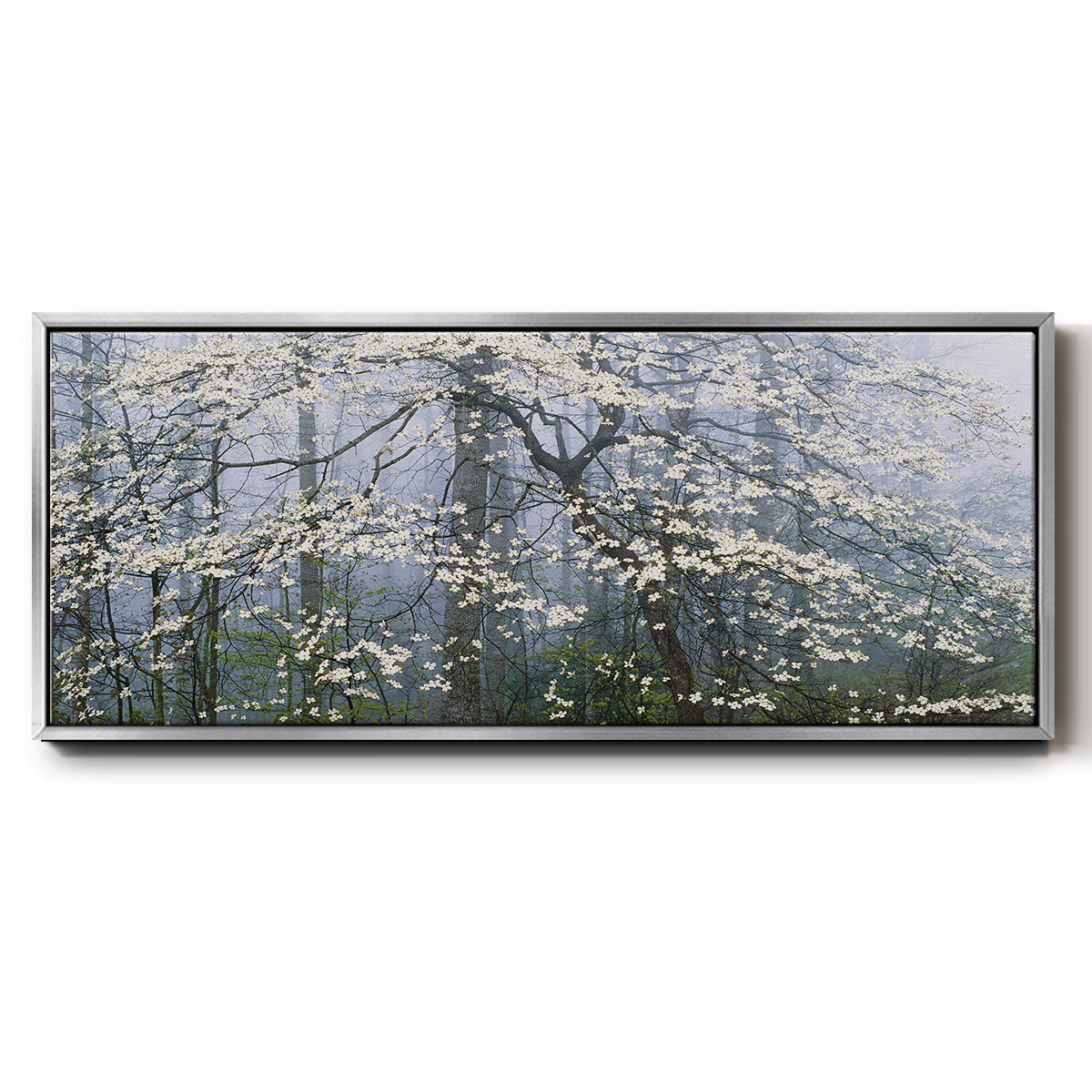 Dogwood Canopy - Floater Framed Canvas Print