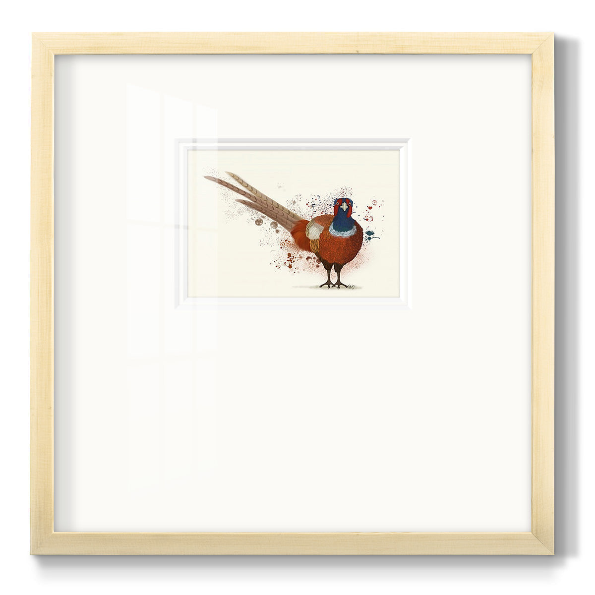 Pheasant Splash 7 - Double Matboard Framed Print