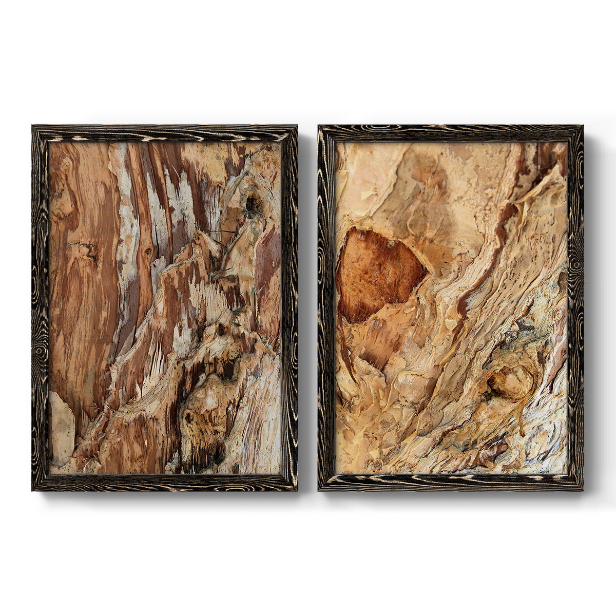 Tree Texture Triptych I - Premium Framed Canvas 2 Piece Set - Ready to Hang