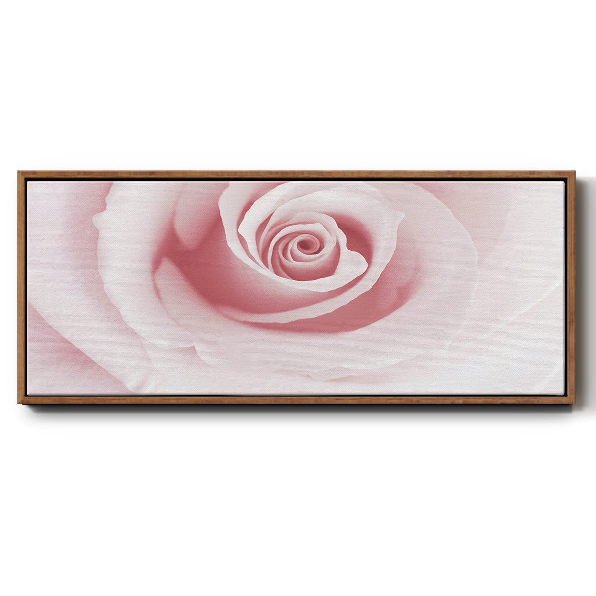 Rose Embrace - Floater Framed Canvas Print