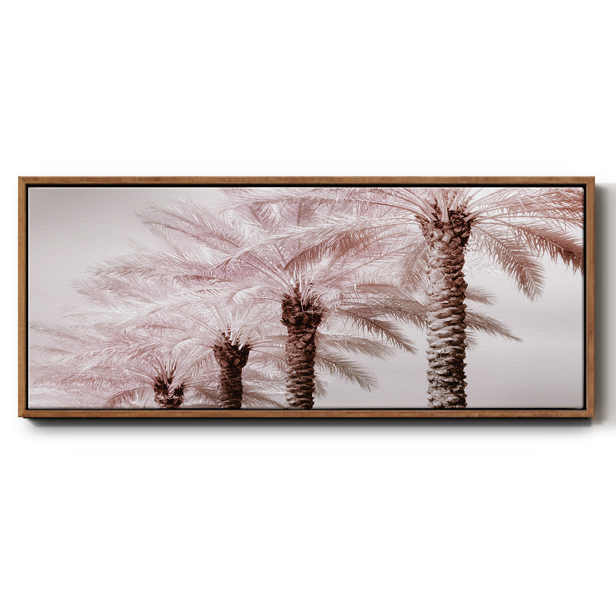 Stately Palms - Floater Framed Canvas Print
