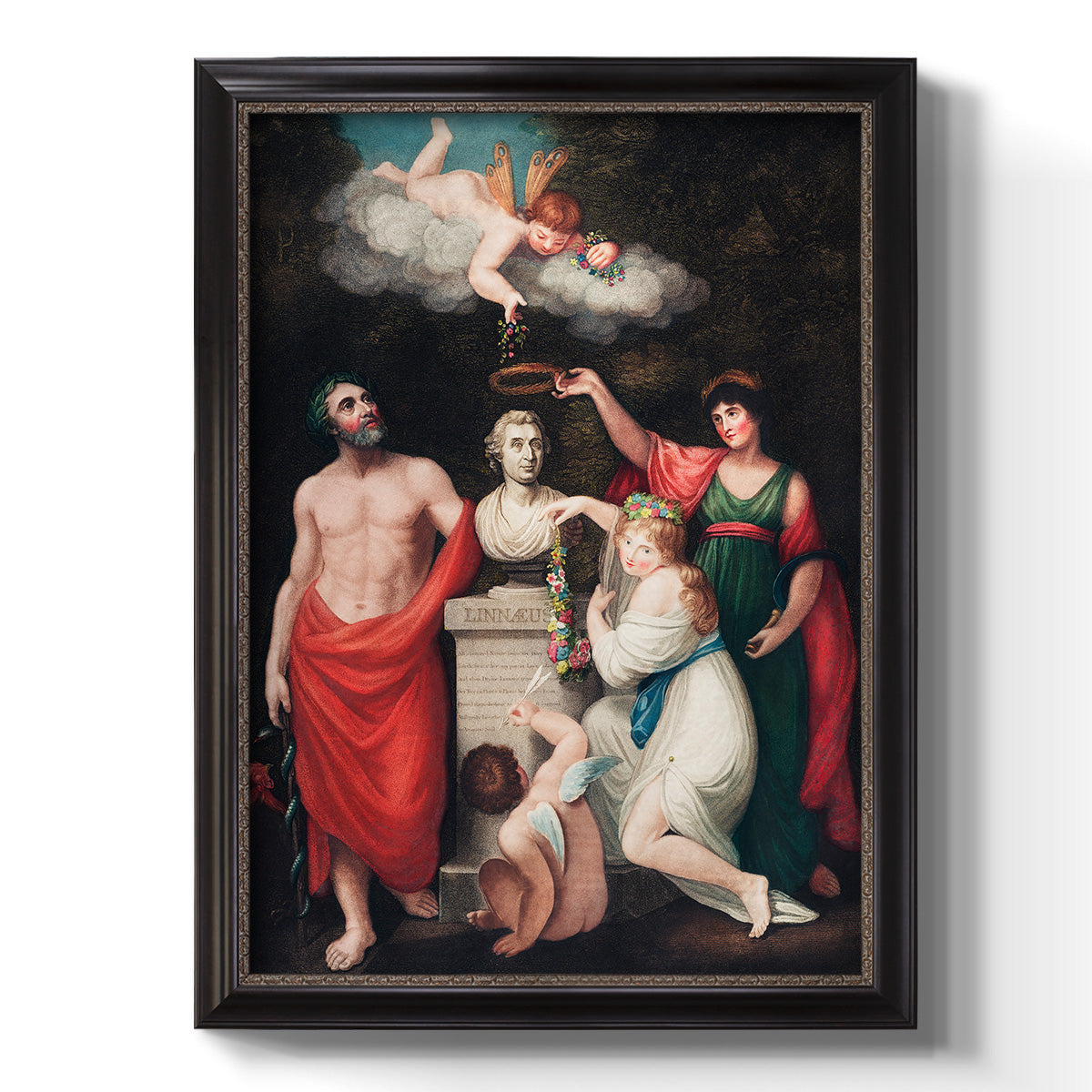 Classical allegorical painting honoring Linnaeus by Robert John Thornton printed on canvas in an ornate black frame with gilded inner detail with a vertical orientation.