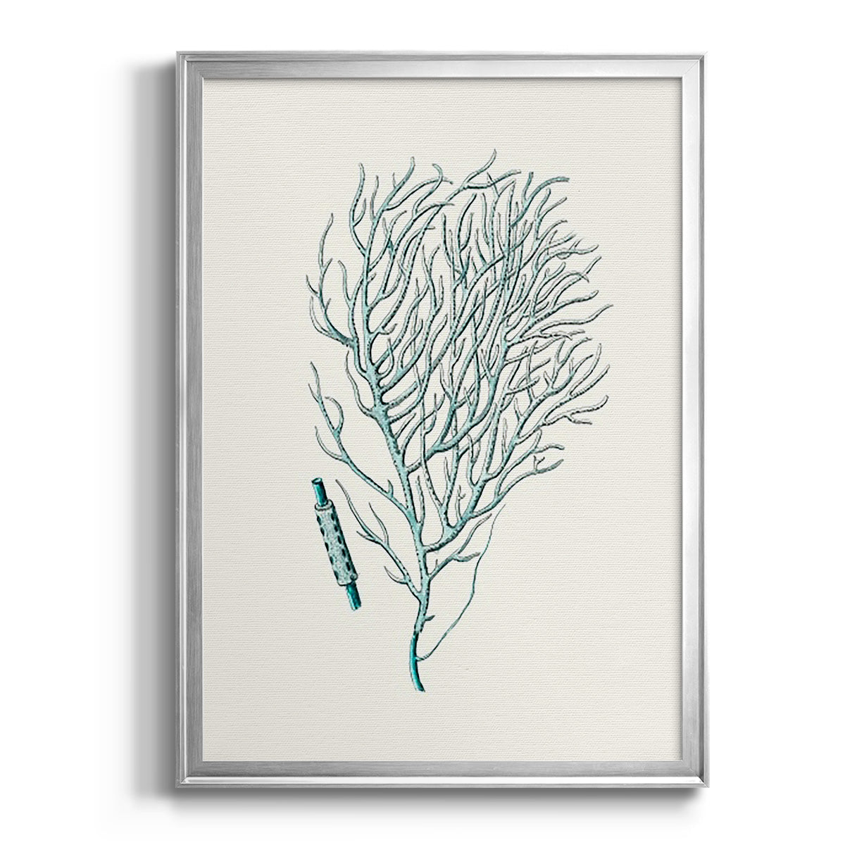 Antique Coastal Coral I - Modern Framed Canvas Print