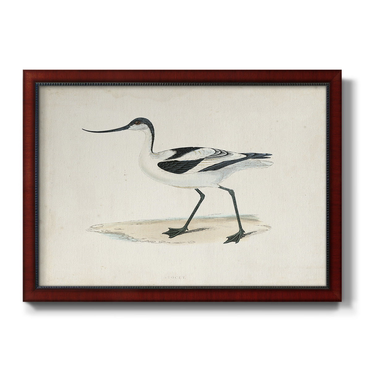 Morris Sandpipers IV Premium Framed Canvas- Ready to Hang