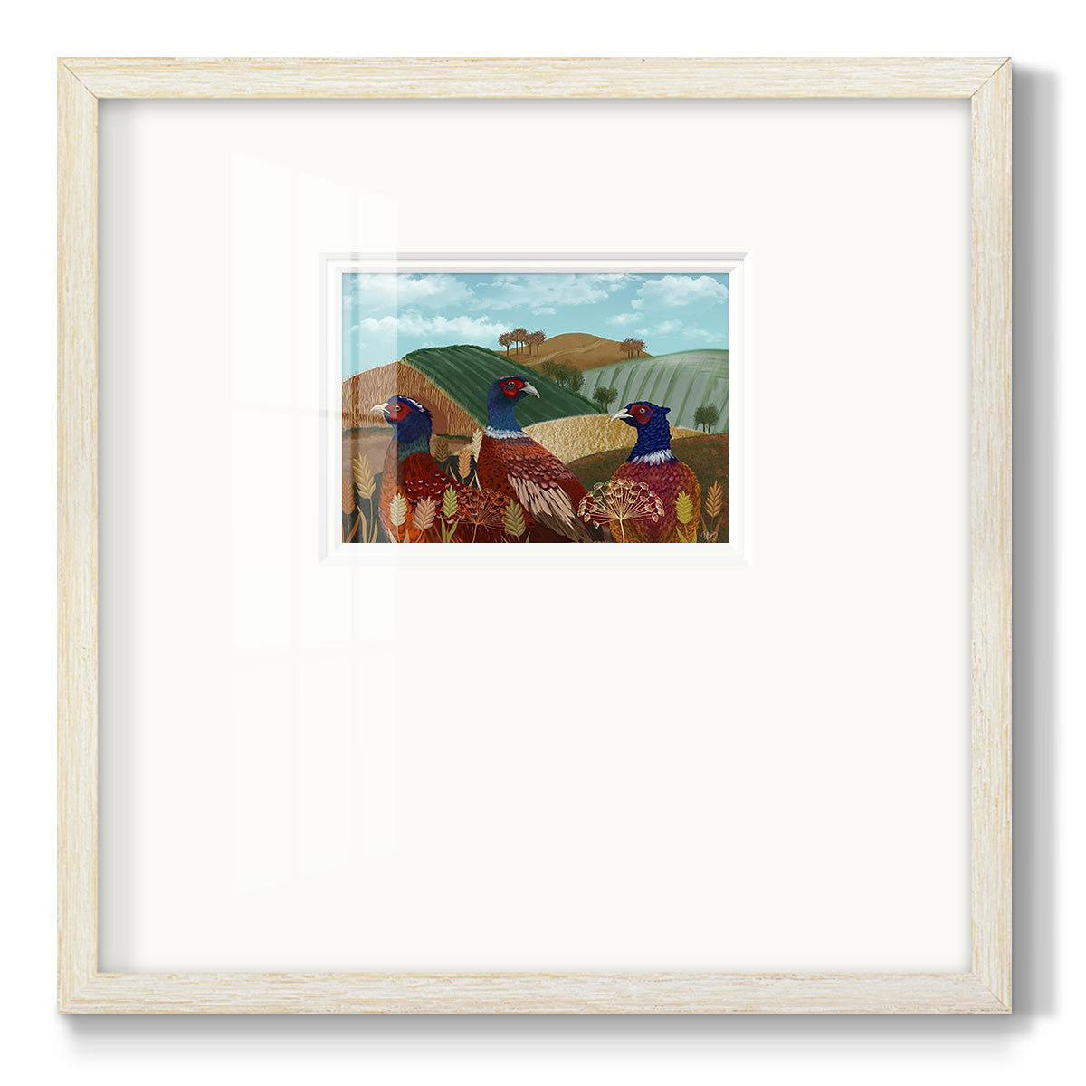 Pheasant Trio in Field Premium Framed Print Double Matboard