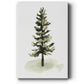 Watercolor Pine II - Gallery Wrapped Canvas