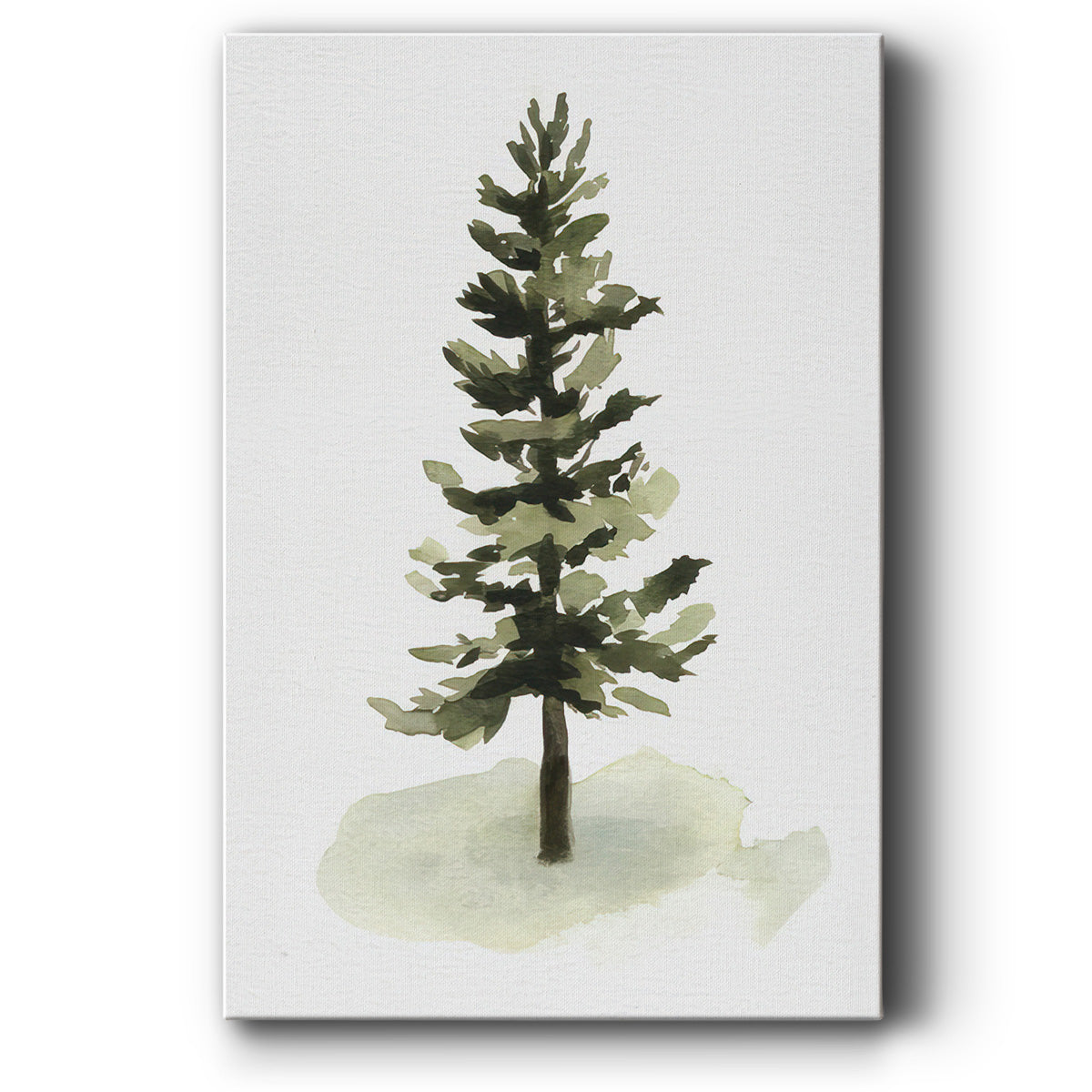 Watercolor Pine II - Gallery Wrapped Canvas