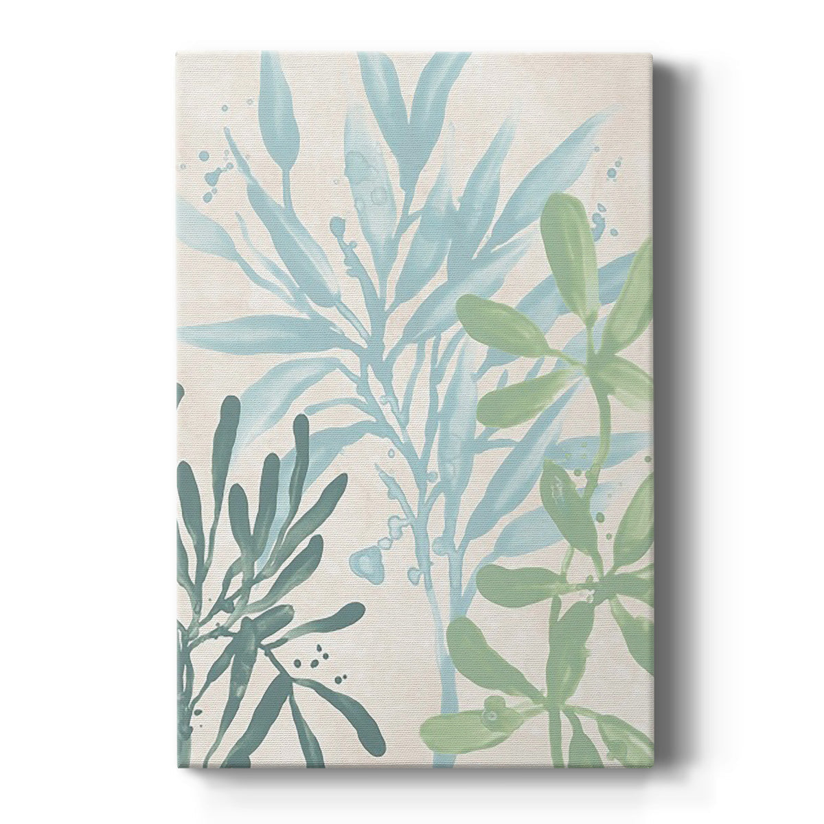 Swaying Seagrass III Premium Gallery Wrapped Canvas - Ready to Hang