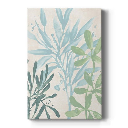 Swaying Seagrass III - Canvas Art Print