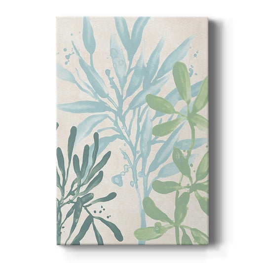 Swaying Seagrass III - Canvas Art Print