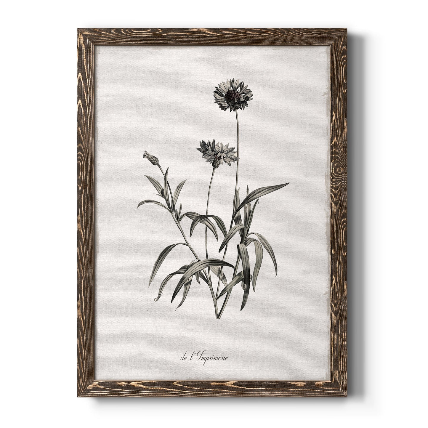 Sketchbook Imperial - Barnwood Framed Canvas Print