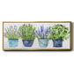 Fresh Herb Collection - Floater Framed Canvas Print