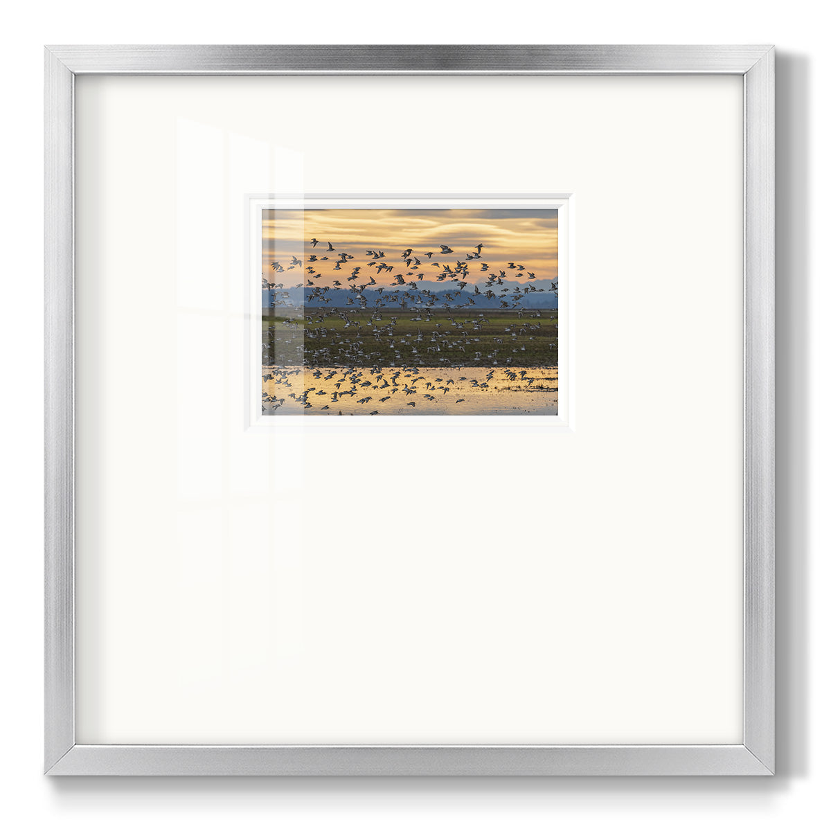 Sunset Flight Premium Framed Print Double Matboard