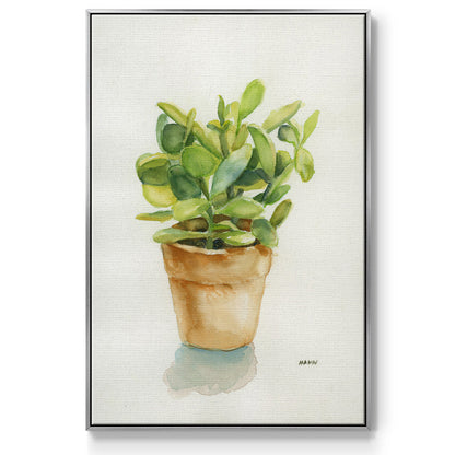 Succulent I -  Framed Canvas Print