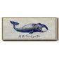 Let The Sea Set You Free - Floater Framed Canvas Print