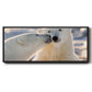 Polar Bear Kiss - Floater Framed Canvas Print