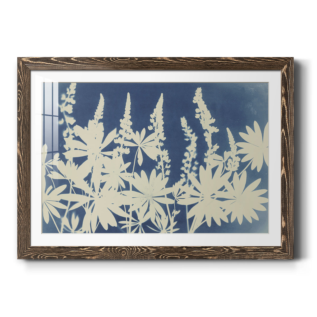 Lovely Lupine - Barnwood Framed Art Print