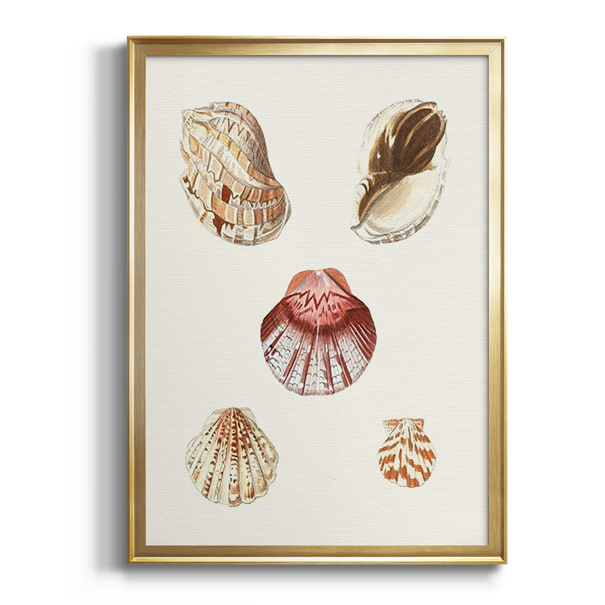 Pastel Knorr Shells V - Modern Framed Canvas Print