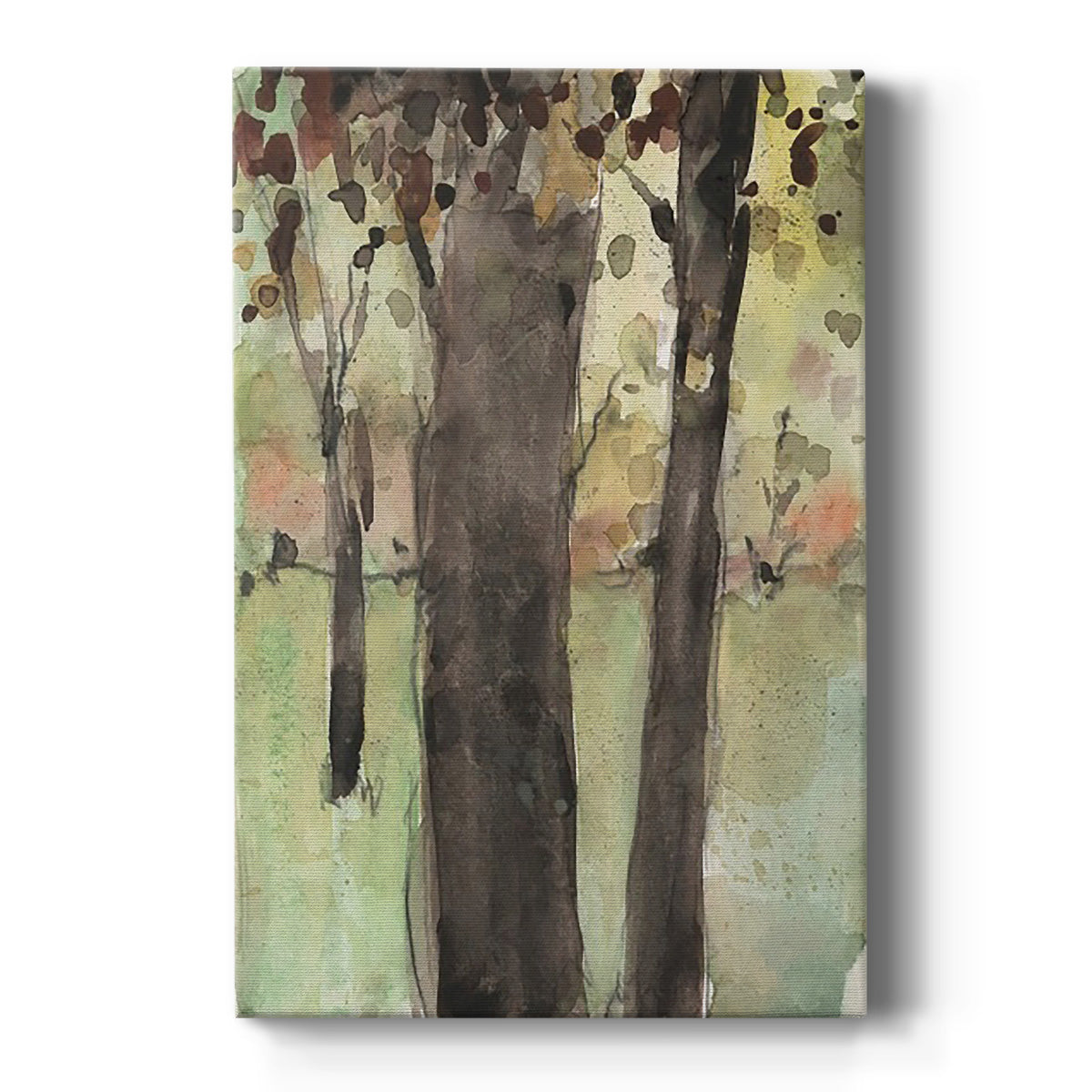 Under the Tree Confetti II Premium Gallery Wrapped Canvas - Ready to Hang