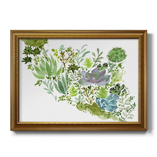 Succulent Field II Premium Framed Canvas- Ready to Hang