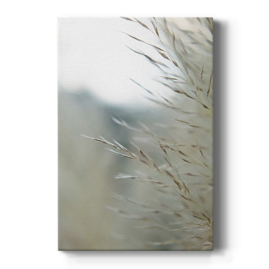 Subtle Grasses III - Canvas Art Print