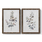 Eucalyptus I - Premium Framed Canvas 2 Piece Set - Ready to Hang