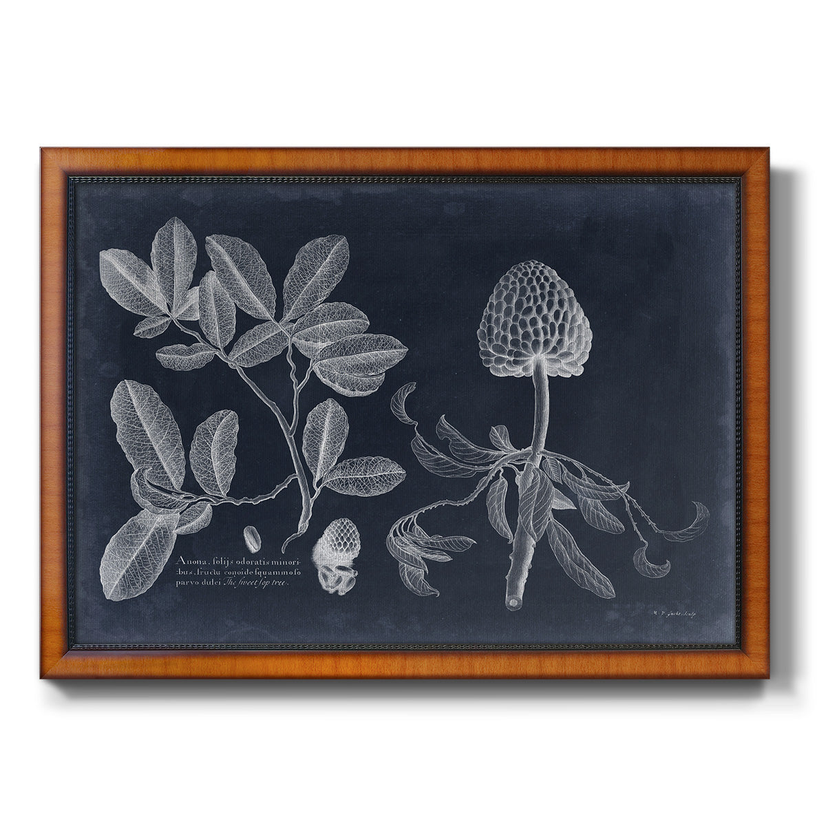 Foliage on Navy II Premium Framed Canvas- Ready to Hang