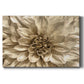 Neutral Wall Flower I - Canvas Art Print
